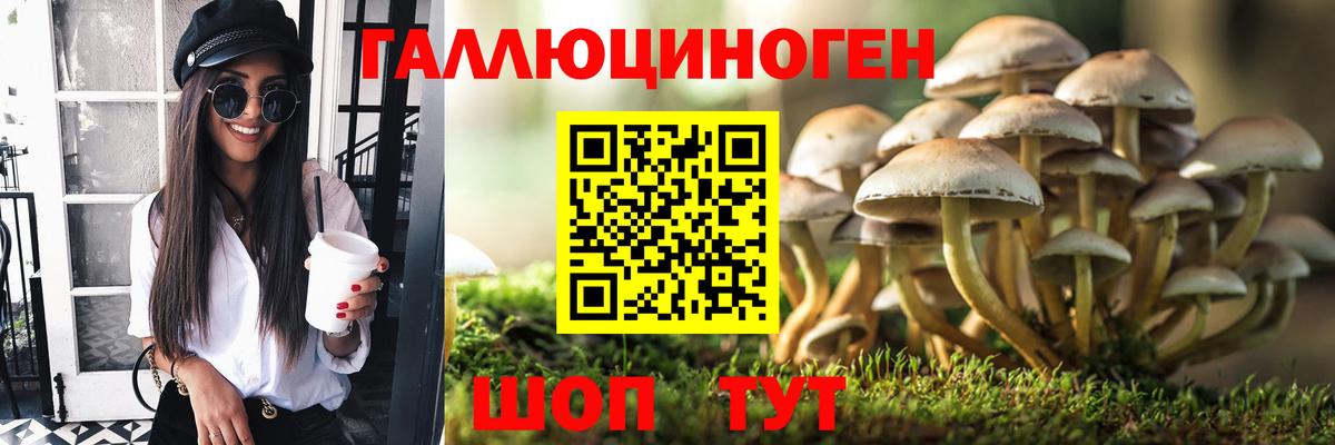 Псилоцибиновые грибы Cubensis Саки